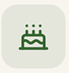 Birthday Cake Icon